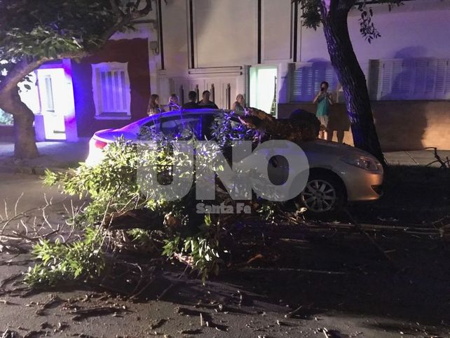 Una pesada rama cayó sobre dos autos en barrio Constituyentes