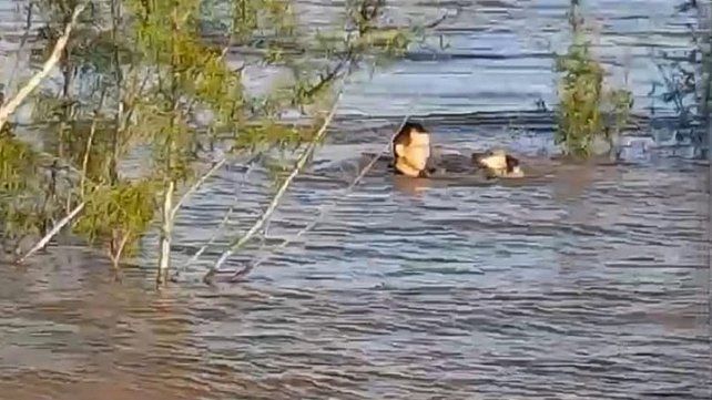 Un perro que era arrastrado por las aguas del río Uruguay fue rescatado por un bombero del cuerpo de Zapadores de Concordia.