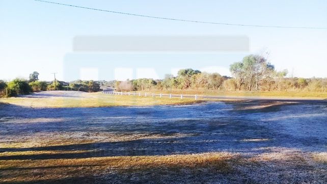 Los campos entrerrianos amanecieron con escarcha: ¿Cómo sigue el tiempo en Entre Ríos?