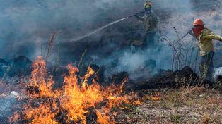 Brigadas entrerrianas asisten en el combate de incendios en la zona del Delta