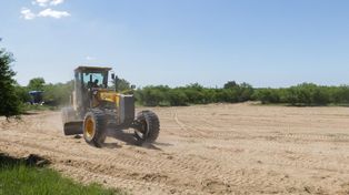 Comenzaron los trabajos de recuperación en la playa Los Alisos