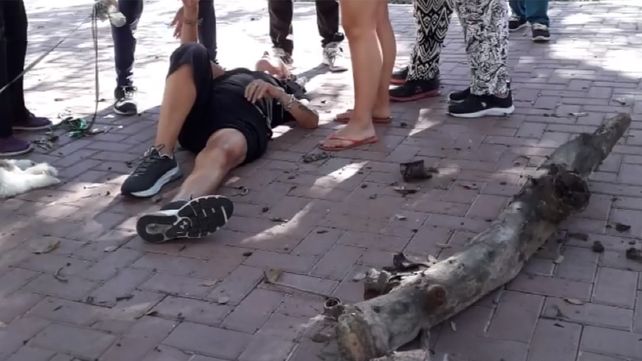 La mujer quedó tendida y con su cadera fracturada por la caída de una pesada rama de un palo borracho en la plaza López.