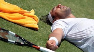 ¡Impactante! Baghdatis cayó duro en pleno partido