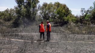 Brigadistas recorren el terreno en busca de focos de incendio.