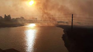 El daño al medio ambiente es más grave de lo que creemos