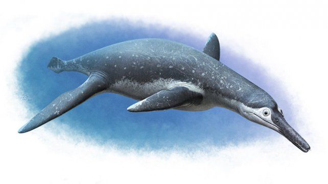 Descubren en Rusia un monstruo marino del tamaño de un colectivo