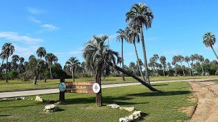 Subas en los Parques Nacionales: cuánto cuesta visitar El Palmar