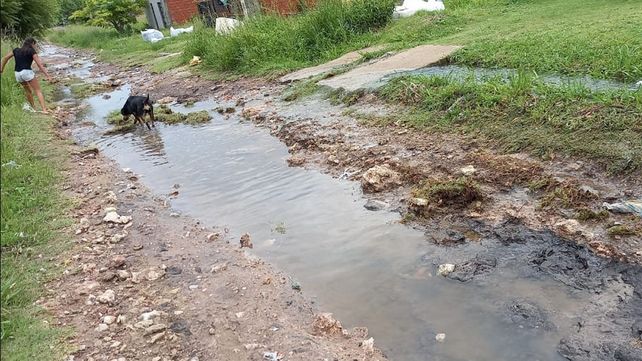 Lluvias y tormentas: anegamiento y caída de árboles en Paraná