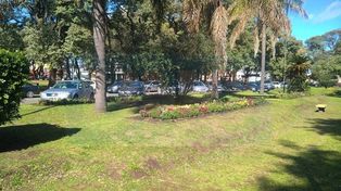 Enojo con conductores desaprensivos a la hora de ir a rezar