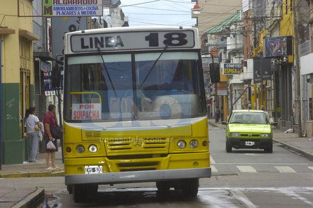 Se debería proteger a 25 colectivos