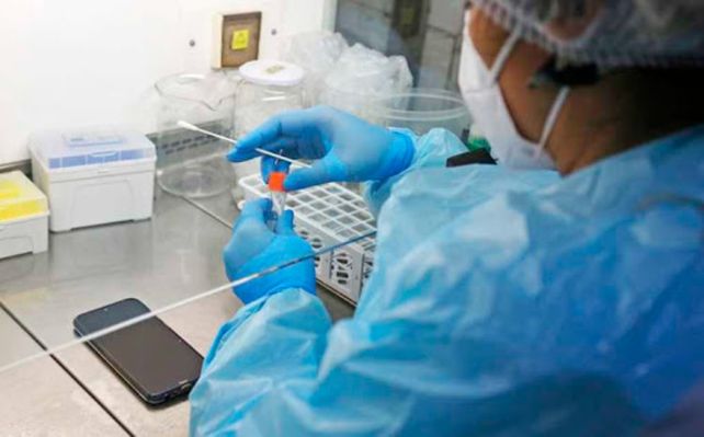 Hacer un PCR al celular: el original método chileno para frenar el avance del coronavirus.