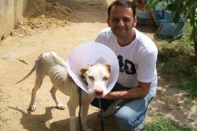 El rescate de un perro conmueve en las redes sociales