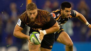 Jaguares viaja para jugar la final