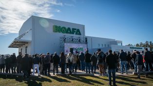 La puesta en marcha de la plata de AFA demandó una inversión de 6 millones de dólares.
