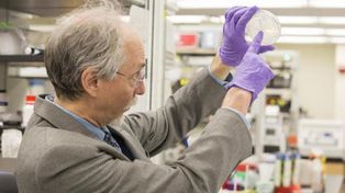 Un hallazgo deja a los científicos a un paso de crear vida artificial