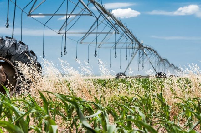 El Inta presentará tecnologías para una agricultura más sostenible