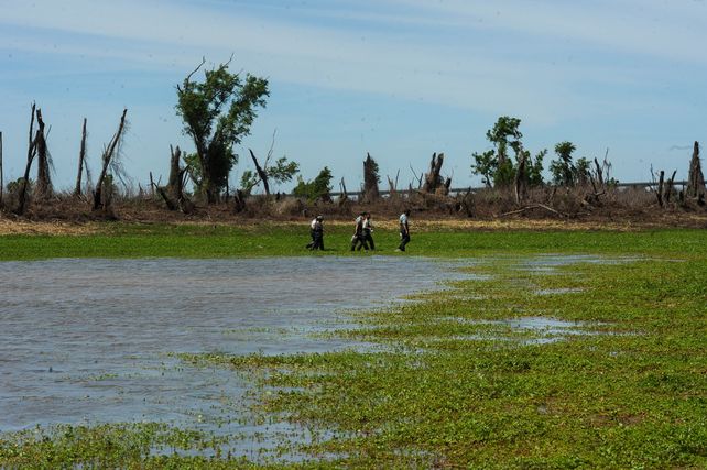 La isla es una de las pocas en territorio santafesino.