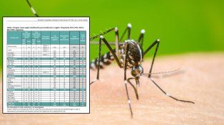 El BEN informó un nuevo caso importado de dengue en Entre Ríos, elevando a 14 los confirmados en el país en 2026.