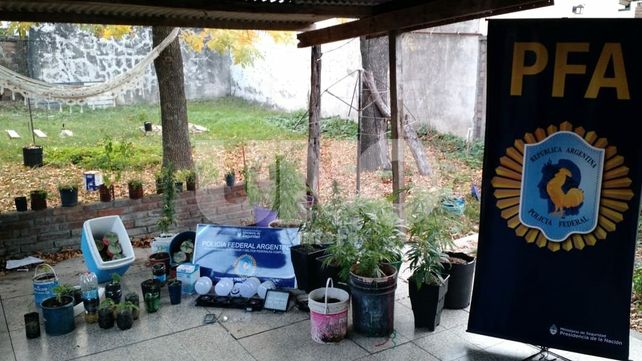 Santa Fe:  Detuvieron a cuatro miembros de una organización narcocriminal