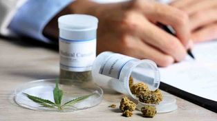 El cannabis medicinal ya es ley en la provincia de Santa Fe