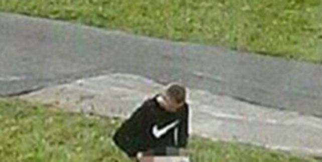 No aguantaron y tuvieron sexo en una plaza