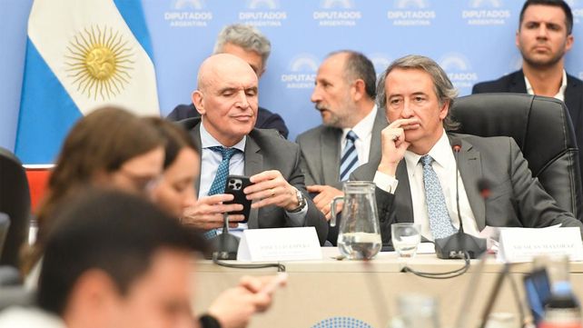 José Luis Espert (Avanza Libertad) y Nicolás Mayoraz (LLA-Santa Fe) durante el reciente plenario de comisiones en la Cámara baja nacional.
