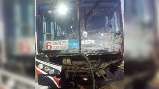 Paraná: condenaron a un colectivero alcoholizado y drogado que atropelló y mató dos hermanos
