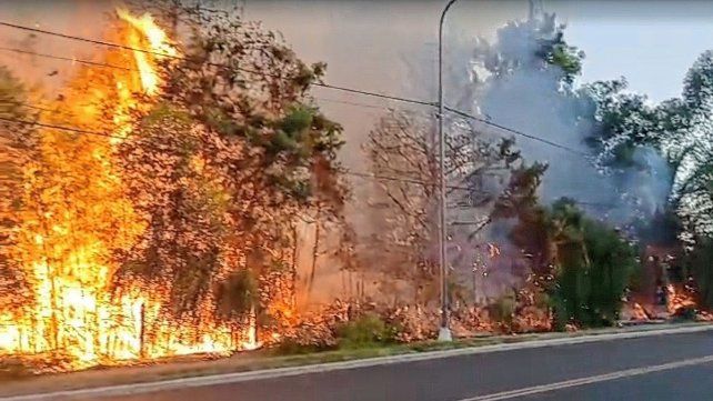 Los incendios comienzan a repetirse debido a las altas temperaturas que se registran en la región de Salto Grande.
