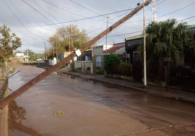 Foto: Marcelo Colombo
