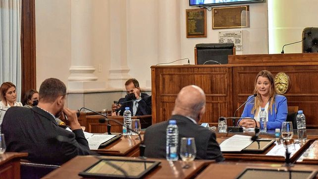 En el Senado, Schumacher se comprometió con la problemática de género