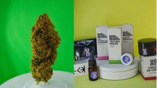 Un Viaje Astral, lugar de encuentro de cannabis medicinal