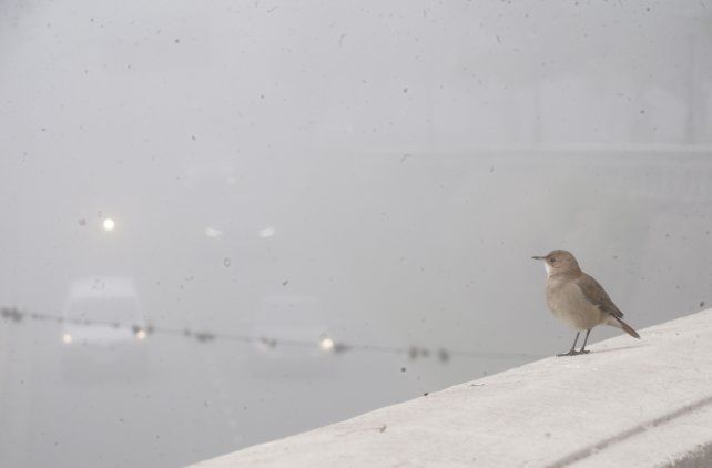 La niebla se apoderó de Rosario y la región durante dos semanas.
