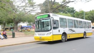 Evaluarán incorporar una nueva línea de colectivo