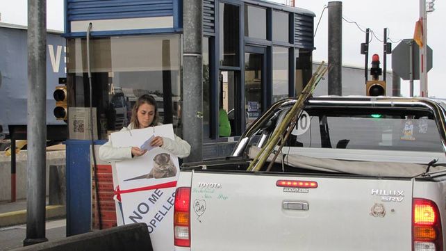 No me atropelles. La concientización de los automovilistas es uno de los puntos de la campaña.&nbsp;