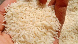 La resolución sobre exportación beneficia a algunas variantes de arroz de economías regionales.