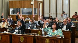 Senadores justicialistas repudian escraches