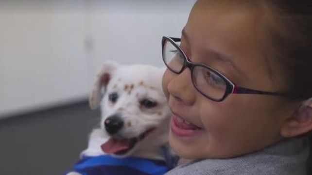 Julia y Walter, la niña y el cachorro sordos que se comunican por lenguaje de señas