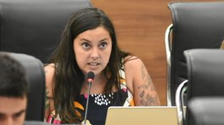 La concejala María Luz Ferradas es la autora del proyecto que apunta al derecho a la identidad.