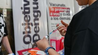 Más de 60.000 personas se vacunaron contra el dengue en Santa Fe: el gobierno prepara la aplicación de segundas dosis