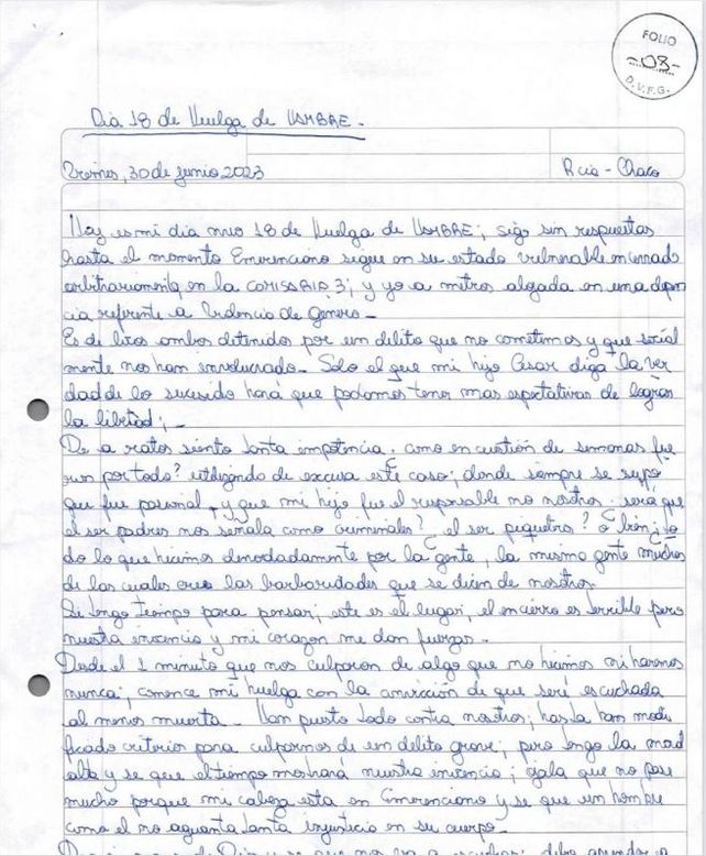 Caso Cecilia Strzyzowski: nuevas cartas de Marcela Acuña en las que le apunta otra vez a su hijo