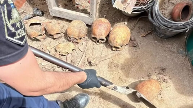 Los cráneos fueron encontrados este sábado por la tarde.