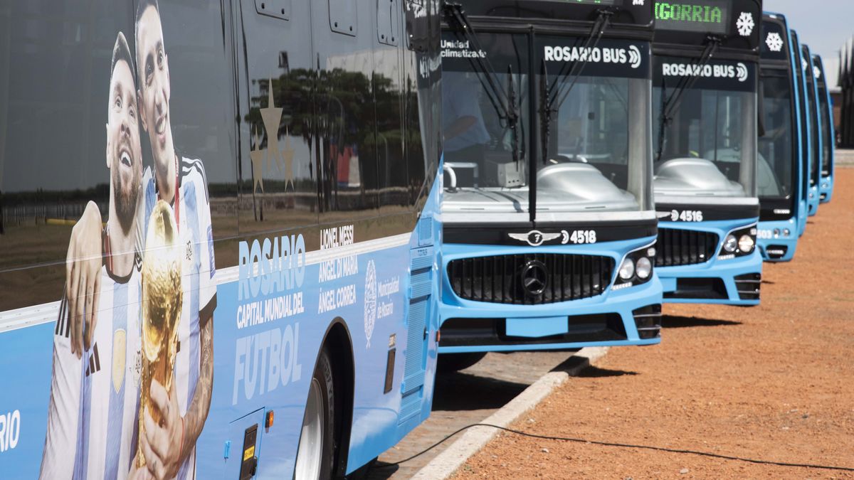 En febrero llegarán 20 nuevos colectivos para reforzar el transporte