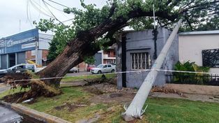 Uriburu y Suipacha. Los efectos de la tormenta de anoche.&nbsp;