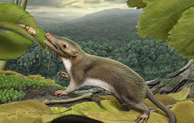 Revelador. Recreación del primer mamífero que habitó el planeta.