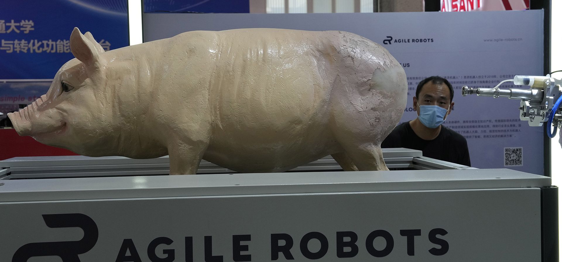 Un hombre mira a un robot diestro que demuestra su capacidad para rastrear el trasero de una réplica de un cerdo para aplicar inyecciones de antibióticos durante la Conferencia Mundial de Robots en el Centro Internacional de Conferencias y Exposiciones de Yichuang en Beijing, el viernes 19 de agosto de 2022.