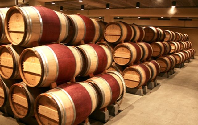 “Vitivinicultura del Sur
