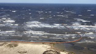 La mancha de petr&oacute;leo lleg&oacute; a Luisiana y se avizora una devastadora cat&aacute;strofe ecol&oacute;gica