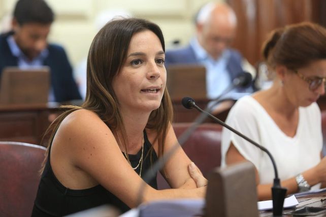 La diputada provincial Lucila De Ponti.