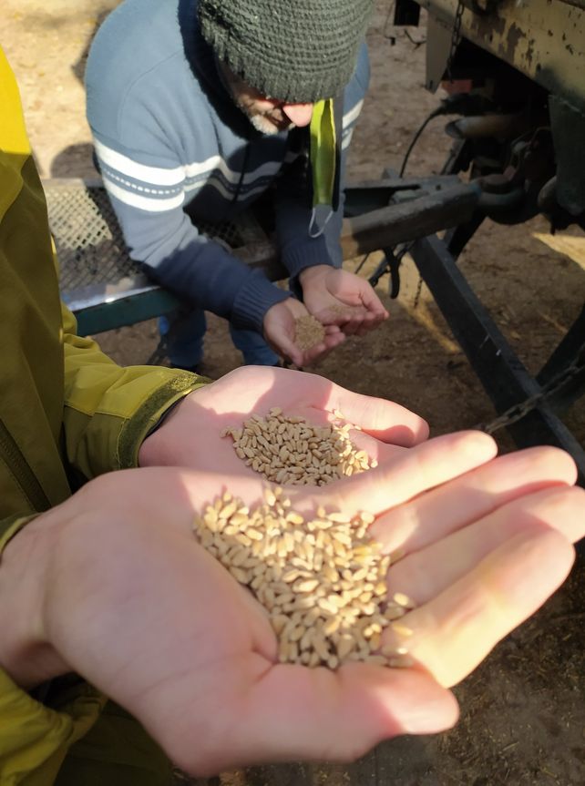 De Zavalla al mundo: La FAO seleccionó a la localidad por su modelo de gobernanza agroecológica
