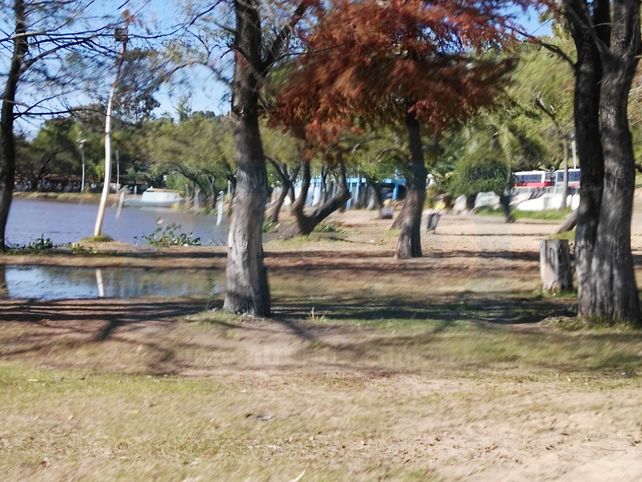 En la capital provincial, el río Paraná está a 24 centímetros del nivel de evacuación